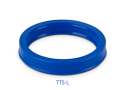 Guarnitec Uszczelka TTI-1725 63,5x76,2x9,5/10,5L 2.1/2”