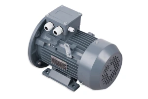 Silnik elektryczny 1,5kW B35 90L4 230/400V S6 60% Hagrix