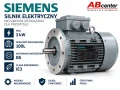 Silnik elektryczny 1LE1003-1AB52-2FA4 3kW 100L B5 IE3