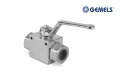 2-drogowy Gemels GE1 3/8" BSP DN10 500 bar – GE1GGT25011A000