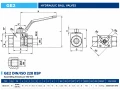 Rysunek techniczny zaworu Gemels GE2 DN10 ISO 5211 F03